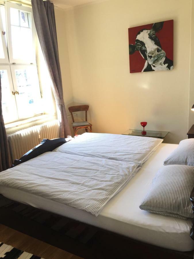 Trash De Luxe Apartment Шлесвиг Екстериор снимка